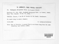 Image Associated With the Occurrence